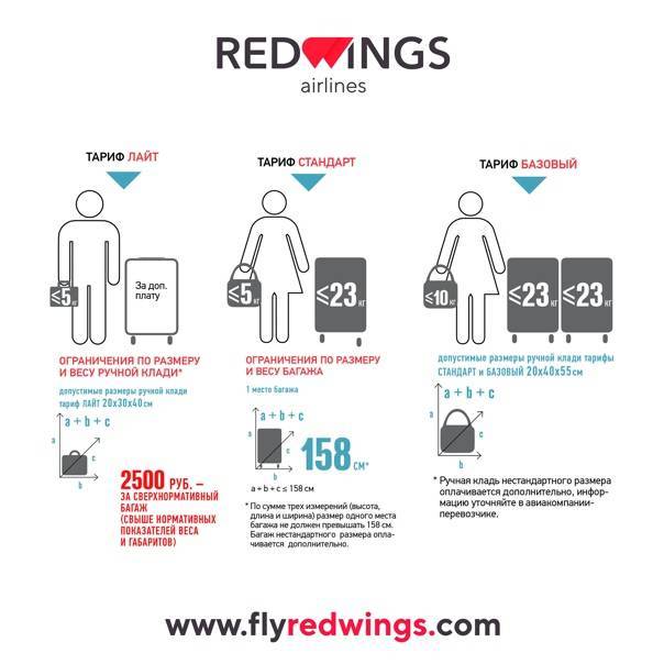Нормы и требования к багажу и ручной клади в «Red Wings»: правила авиакомпании