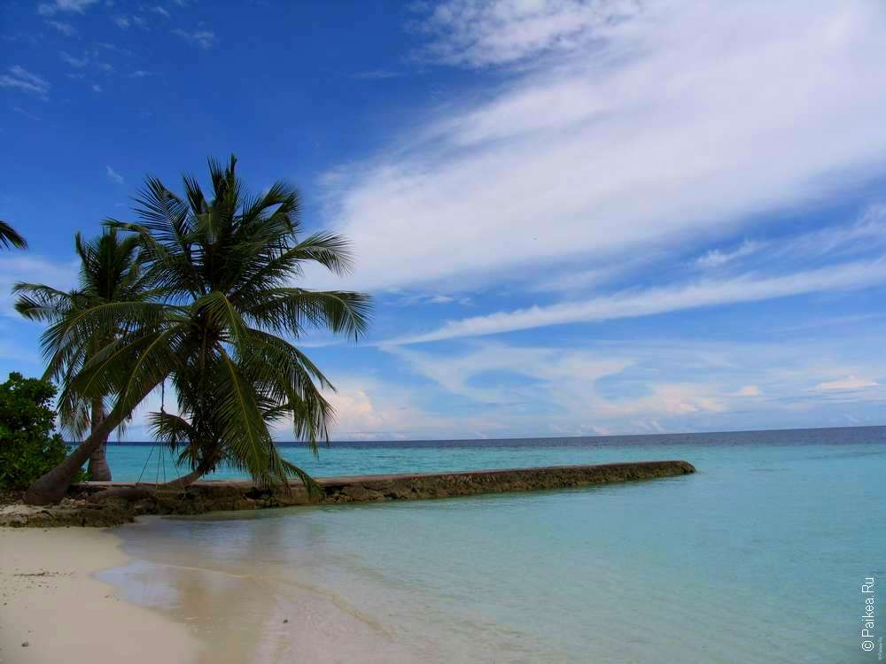 Когда ехать отдыхать на мальдивы: пляжный сезон по месяцам, выбор курорта