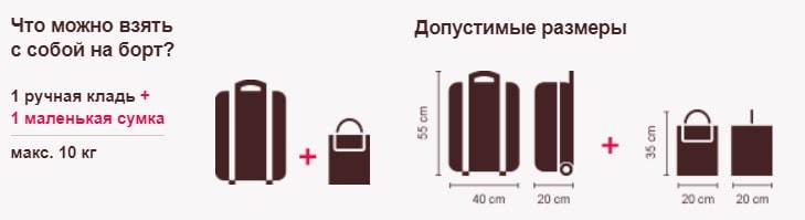 Перевозка багажа и ручной клади на самолётах авиа компании red wings