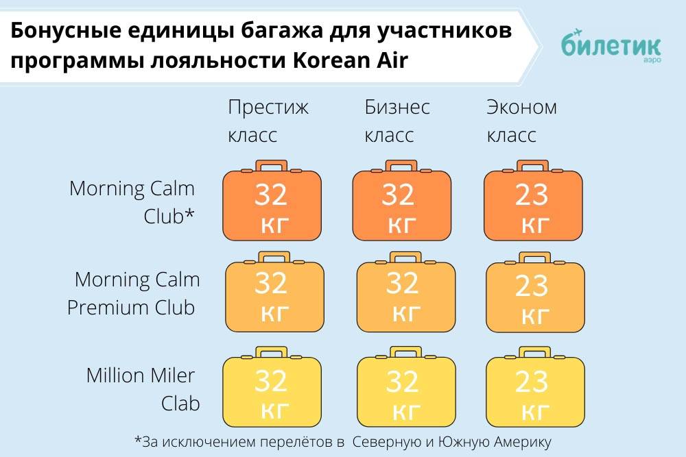 Авиакомпания россия (гтк россия), правила провоза багажа