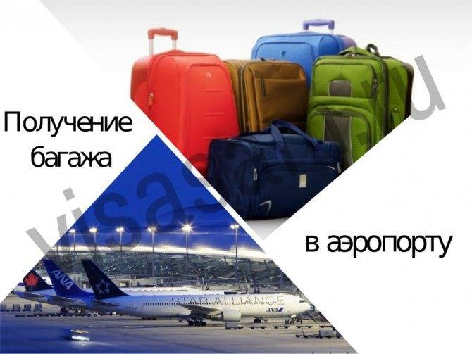 Как получить багаж в аэропорту