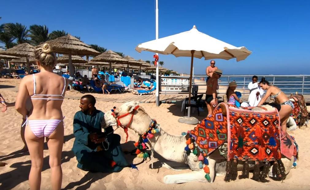 Когда откроют египет для туристов в 2019 году – последние новости от ростуризма