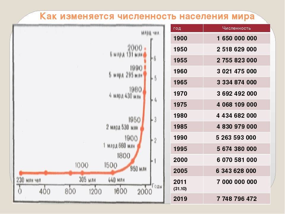Мир в 2050 году сквозь призму демографии. часть 1. планета стариков :  аналитика накануне.ru