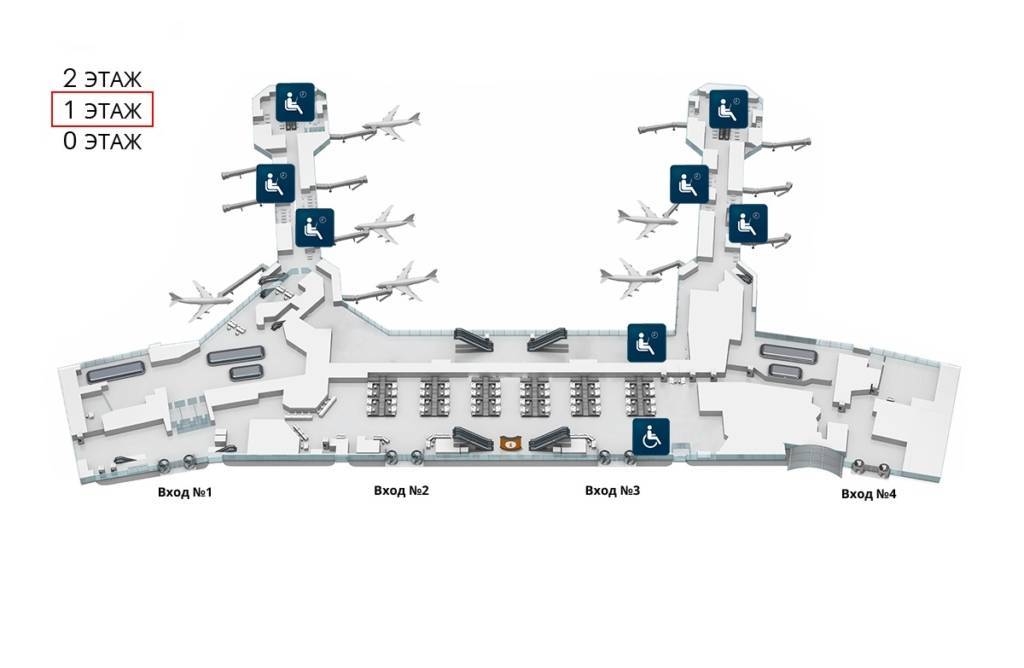 Аэропорт домодедово карта кафе