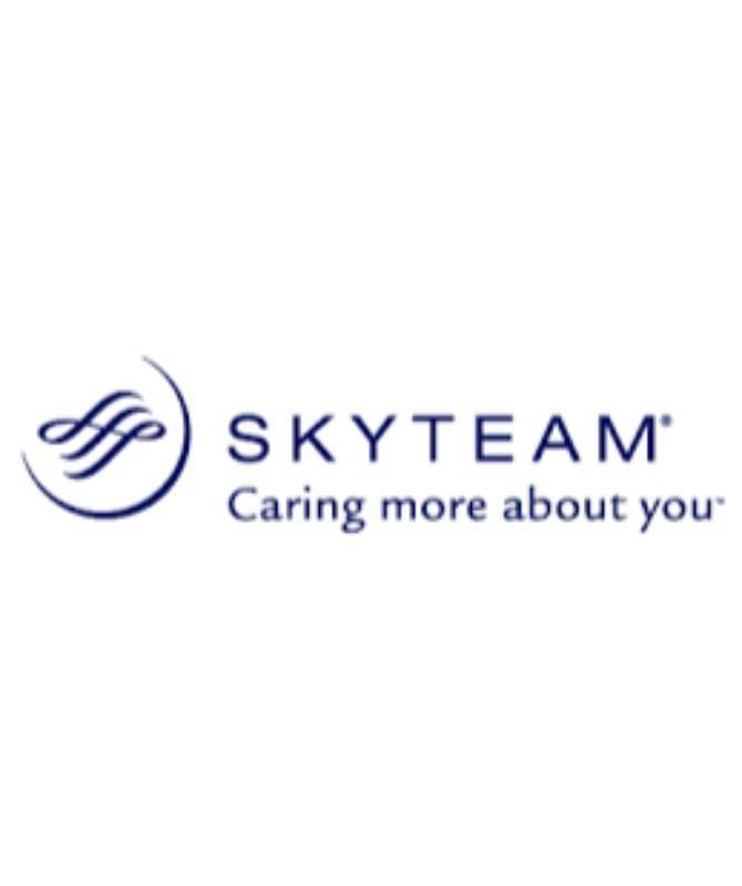Альянс skyteam участники и направления полетов | royal flight - неофициальный сайт пассажиров авиакомпании