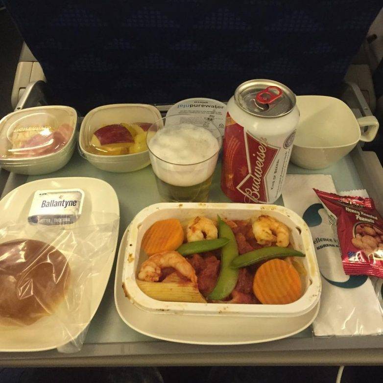 Меню на борту самолета россия, рацион питания для бизнес и эконом-класса