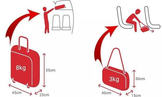 Нормы и требования к багажу и ручной клади в «red wings»: правила авиакомпании