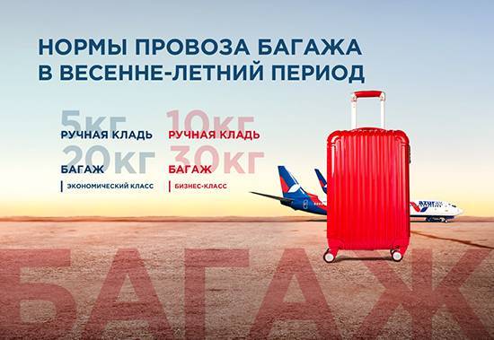 Как перевозить багаж и ручную кладь самолетом чешских авиалиний: правила, нормы, тарифы