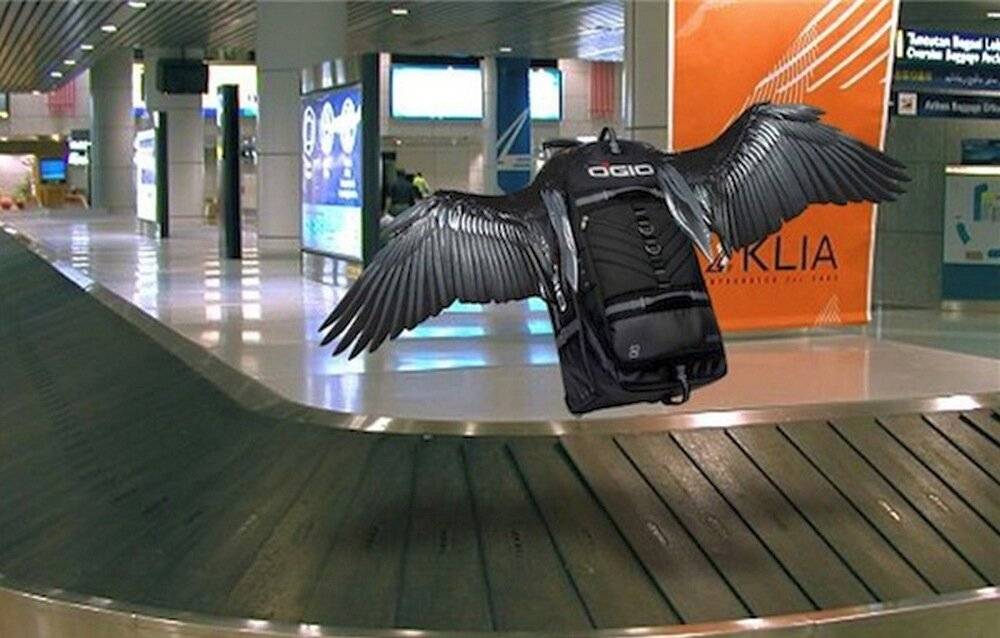 Что делать, если потеряли багаж в аэропорту - пошаговое руководство