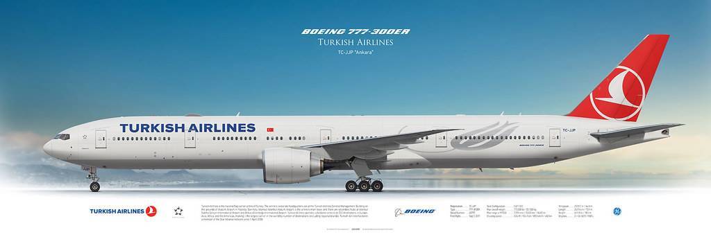 Авиакомпания турецкие авиалинии (turkish airlines)
