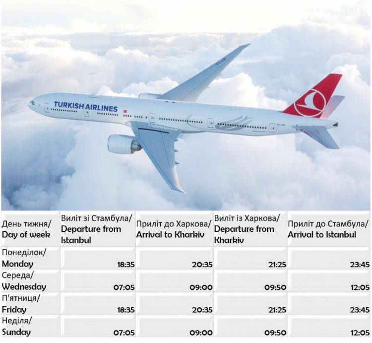 Турецкие авиалинии: регистрация на рейс онлайн, через приложение и в аэропорту