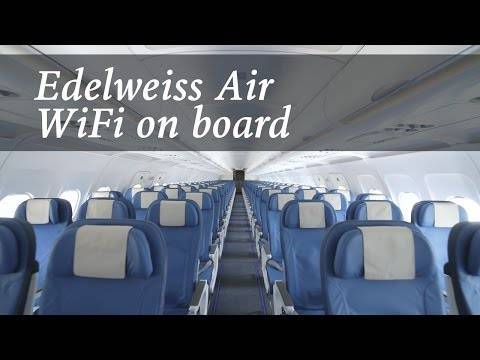 Edelweiss air (эдельвейс эйр): что за авиакомпания, какие самолеты имеет во флоте, направления перелетов и отзывы пассажиров
