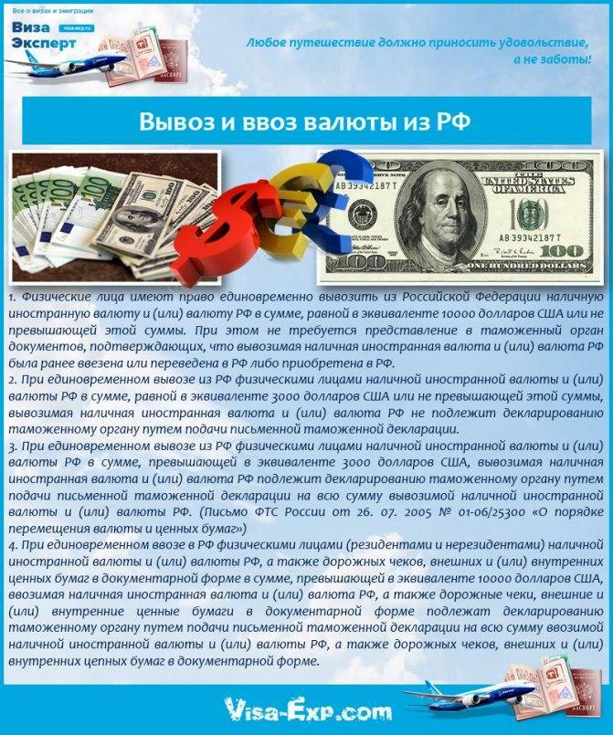 Таможня «даёт добро» — сколько валюты можно вывозить из россии