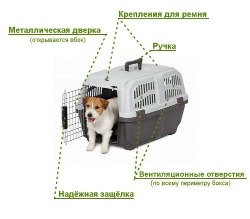 Размеры переноски для собак в самолет