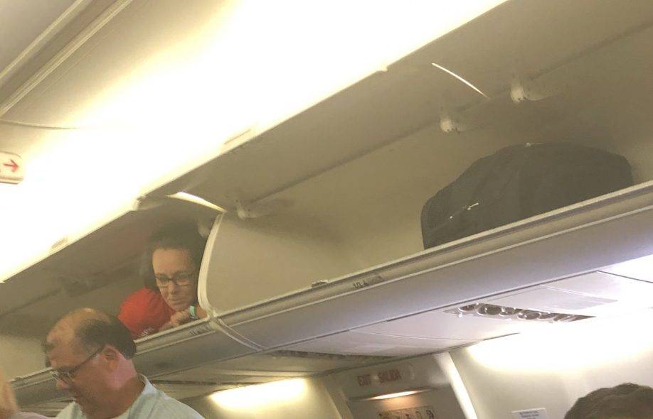 Какая температура в самолете в багажном отделении самолета
