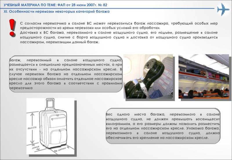 Правила перевозки животных в самолете по россии