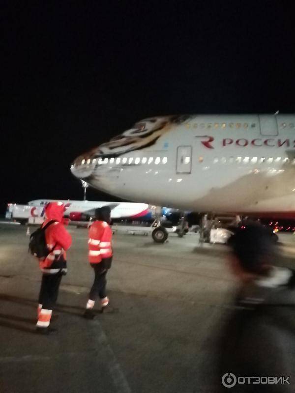 Чартерный рейс fv-5501 авиакомпании россия внуково - сочи какой самолет