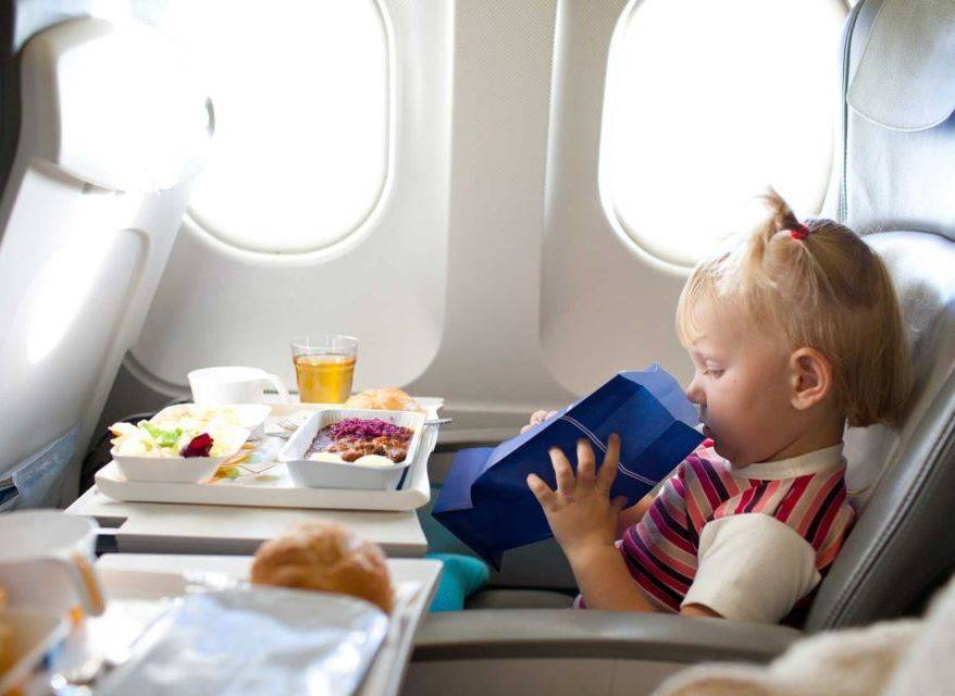 Можно ли брать детское питание в ручную кладь в самолет