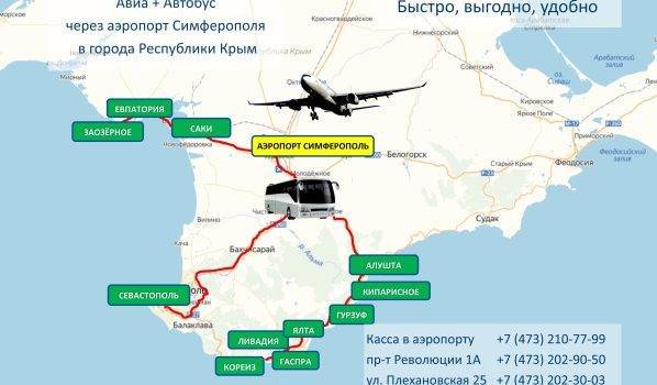 Как добраться до ялты из москвы: самолет, поезд, автобус или автомобиль?