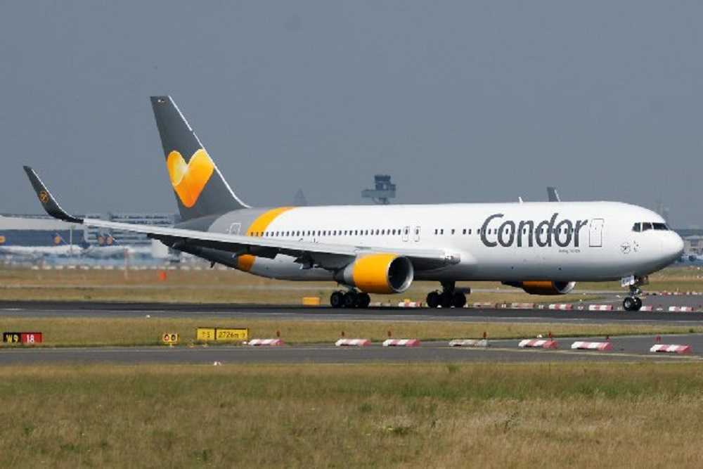 Condor airlines (кондор эйрлайнс): что это за авиакомпания, какие плюсы и минусы имеет, куда осуществляет авиаперевозки и как отзываются о ней пассажиры