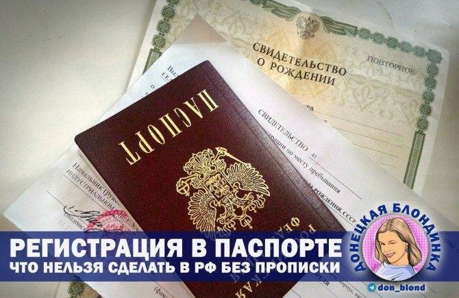На самолет без паспорта: можно ли совершить перелёт без паспорта