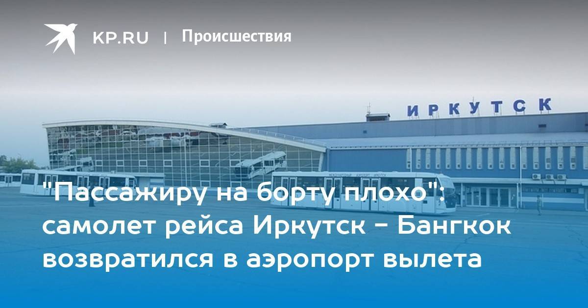 Бухгалтерская отчетность и фин. анализ международный аэропорт иркутск за 2011-2020 гг. (инн 3811146038)