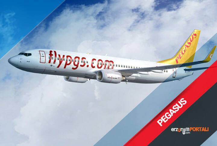 Авиакомпания «pegasus airlines» авиабилеты | официальный сайт на русском языке авиа чартер