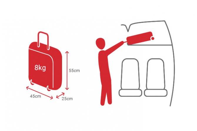 Аэрофлот: ручная кладь и багаж в 2021 году