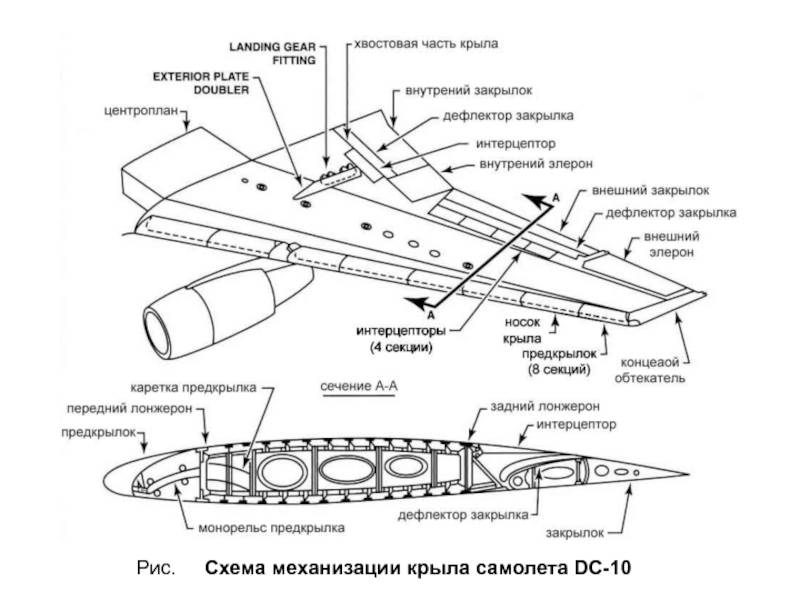 Конструкция крыла самолета: профиль, строение, размах