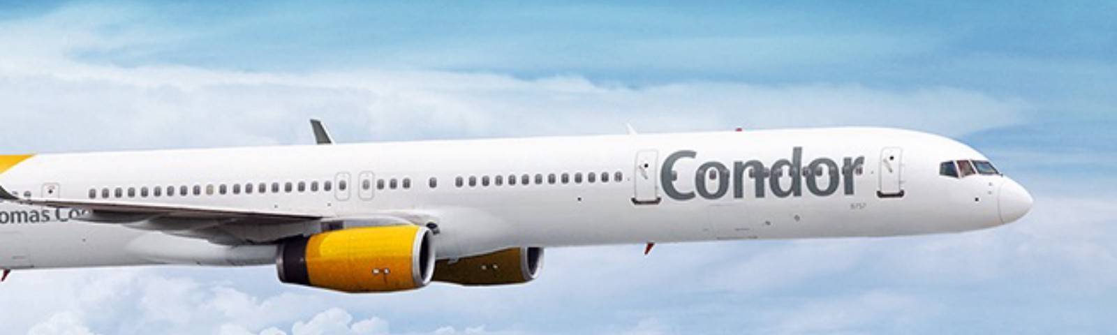 Кондор (авиакомпания) - condor (airline)