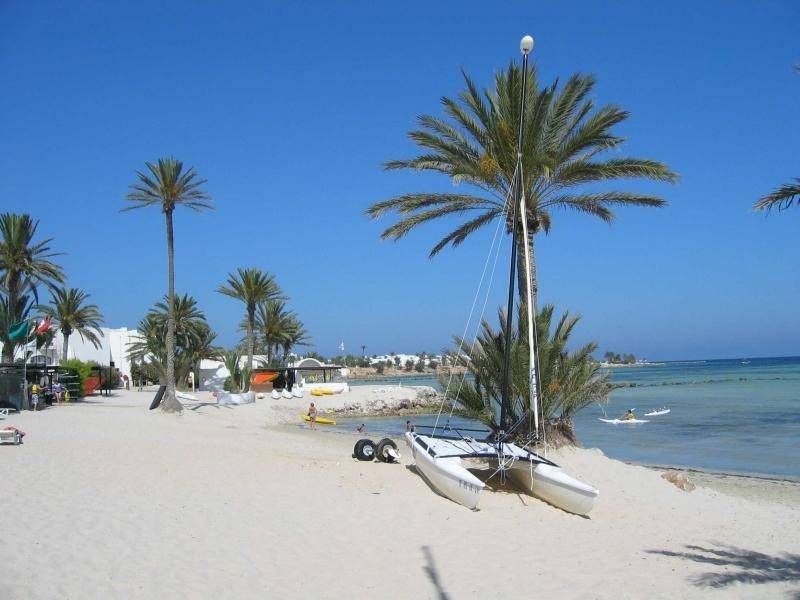 Когда лучше лететь отдыхать в тунис