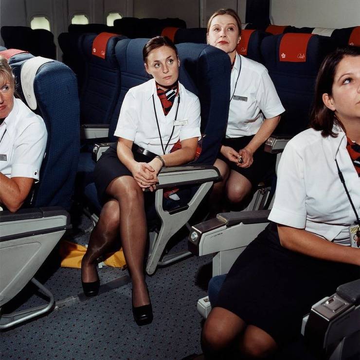 Что нужно чтобы стать стюардессой: курсы бортпроводниц и требования для работы | tvercult.ru