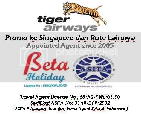 Tiger airways holdings