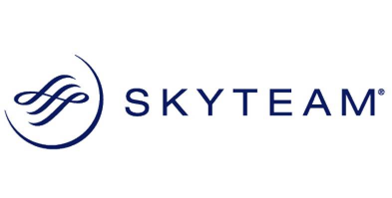 Альянс авиакомпаний skyteam: участники, программа лояльности