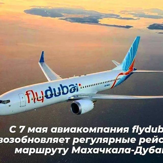 О бюджетной авиакомпании flydubai: самолеты, маршруты, услуги, питание