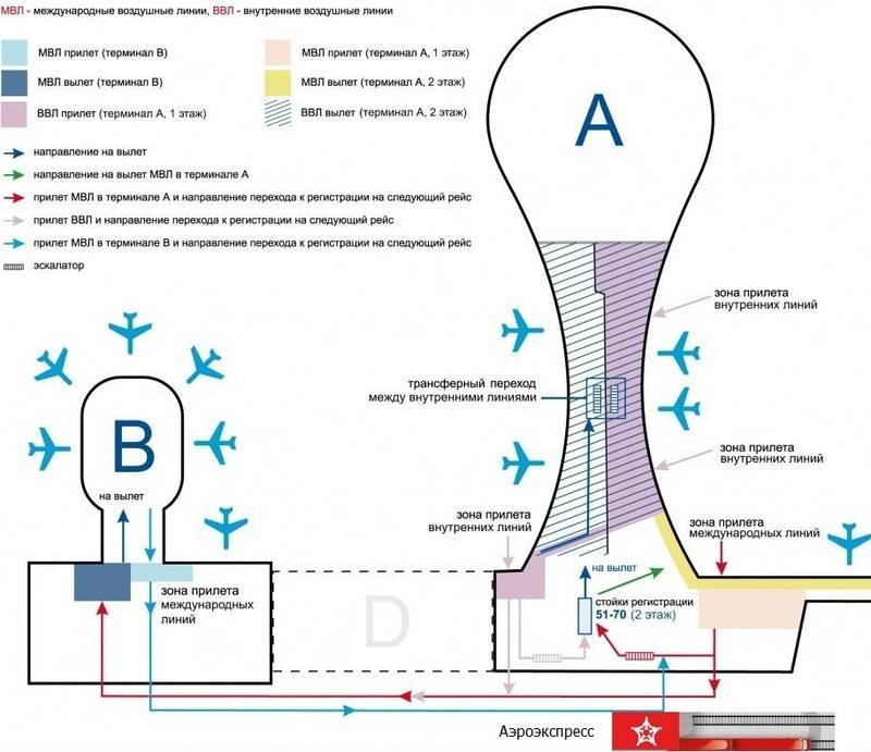 Как разобраться в аэропорту внуково: инструкция и советы