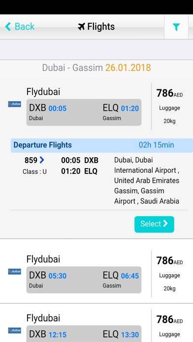Как происходит регистрация на рейс флай дубай (flydubai)