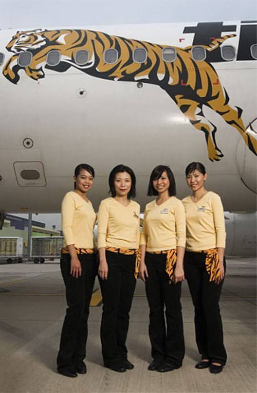 Бюджетные авиакомпании юго-восточной азии (airasia, cebu pacific, tiger airways)