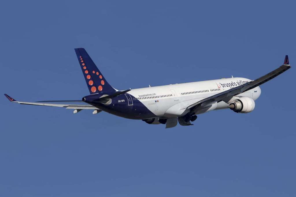 Брюссельские авиалинии: регистрация онлайн, провоз багажа и ручной клади