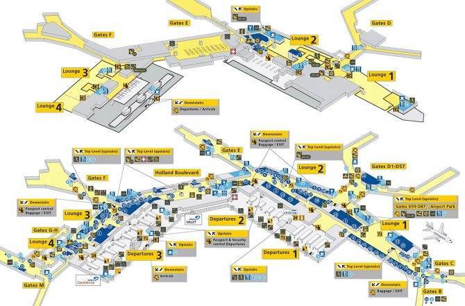 Схема аэропорта Амстердама и как добраться до центра города