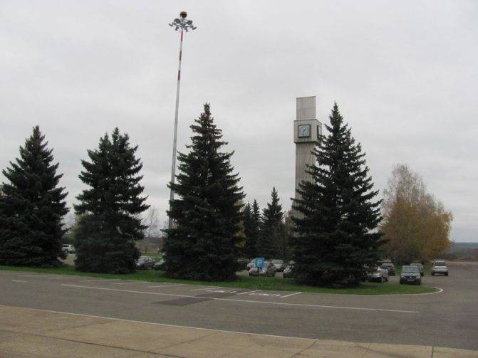 Региональный аэропорт Тамбов («Донское»)