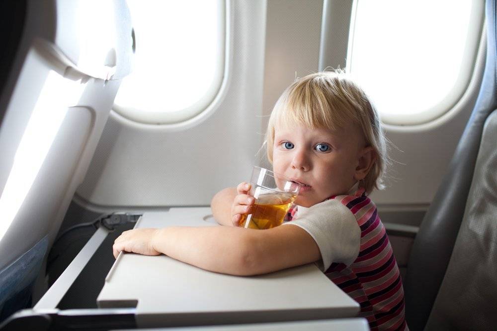 Можно ли брать детское питание в ручную кладь в самолет - наш багаж