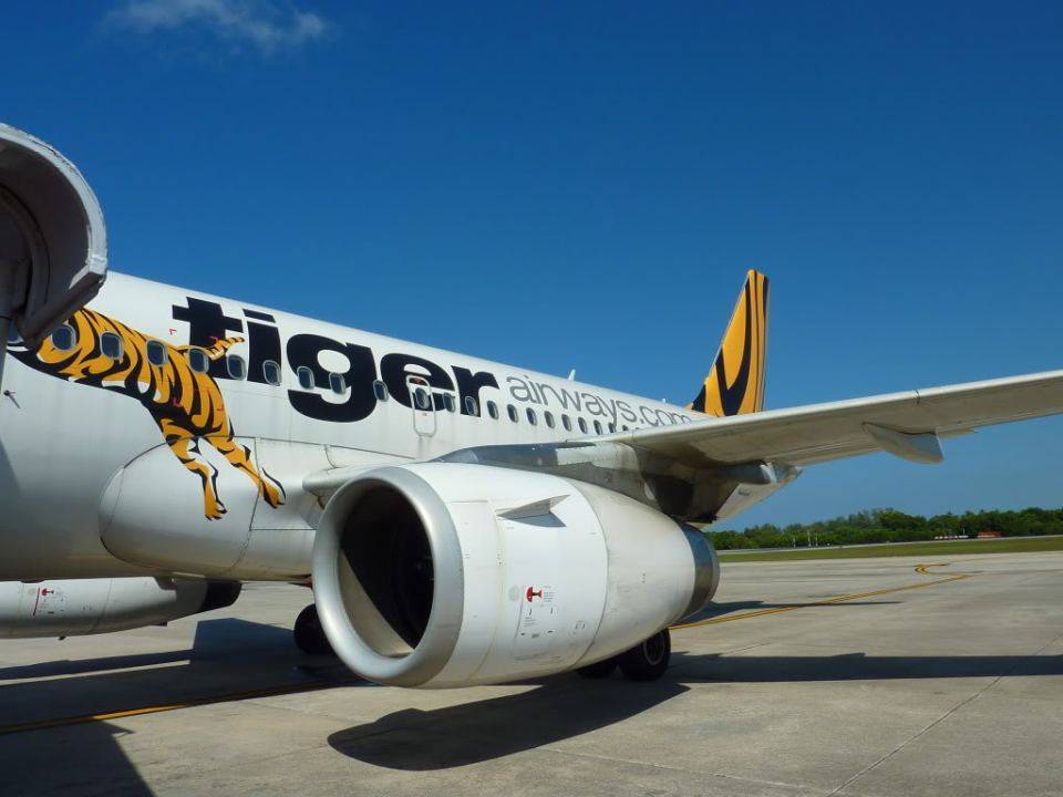 Бюджетная авиакомпания сингапура «tiger airways singapore»