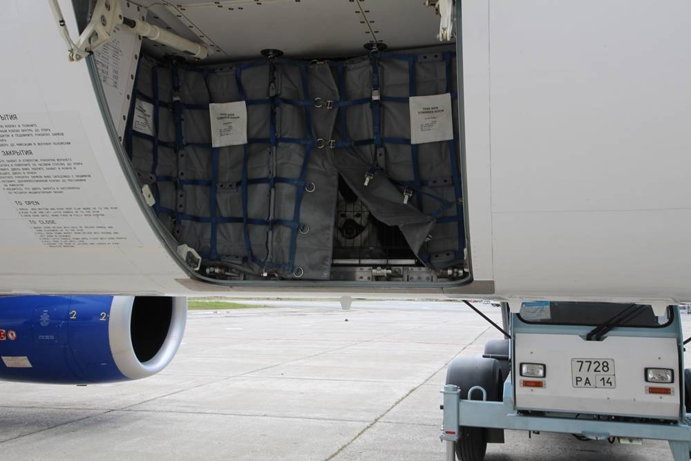 Нормы провоза багажа авиакомпании «победа»