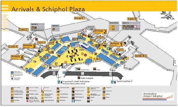 Аэропорт амстердама схипхол (schiphol). отели рядом, табло, как добраться, схема на туристер.ру