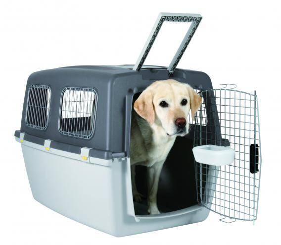 Переноска для собак в самолет: размеры клеток для перевозки, требования к контейнерам