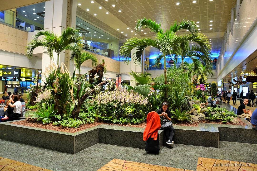 Аэропорт сингапура чанги и 3 способа добраться до центра города