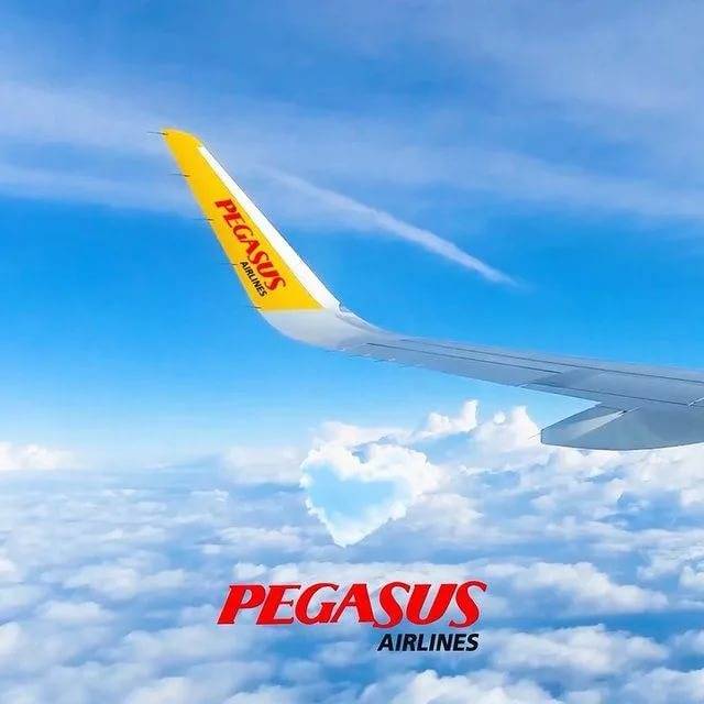 Турецкая авиакомпания “пегасус”