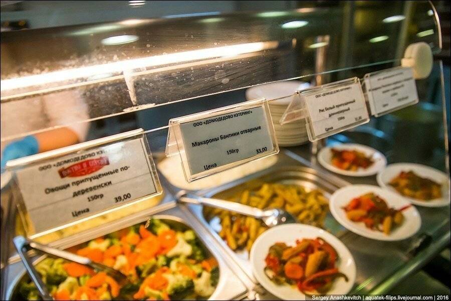 Перекус в Домодедово: где дешево поесть в аэропорту