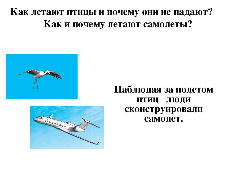 Самолеты с вертикальным взлетом. как они работают и зачем нужны - hi-news.ru